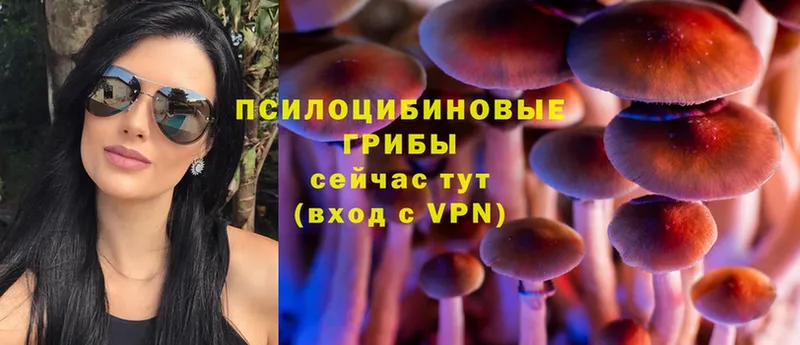 Псилоцибиновые грибы Magic Shrooms  Алупка 